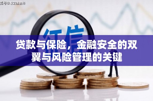 港闸贷款与保险，金融安全的双翼与风险管理的关键