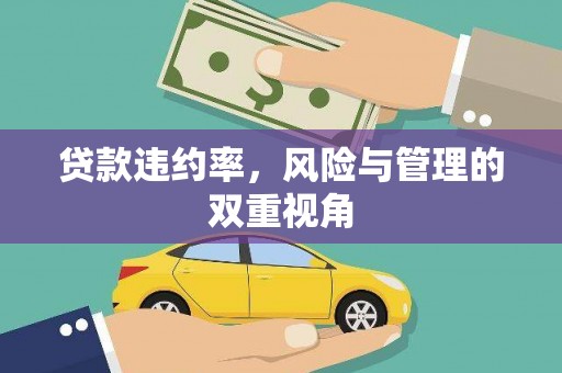 港闸贷款违约率，风险与管理的双重视角