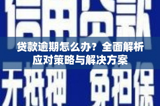 港闸贷款逾期怎么办？全面解析应对策略与解决方案