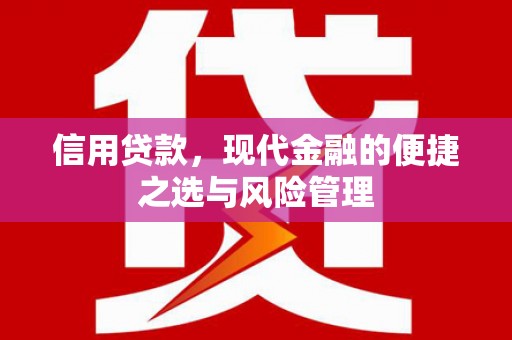 港闸信用贷款，现代金融的便捷之选与风险管理