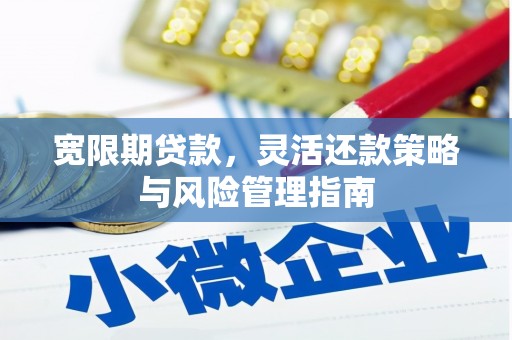 港闸宽限期贷款，灵活还款策略与风险管理指南