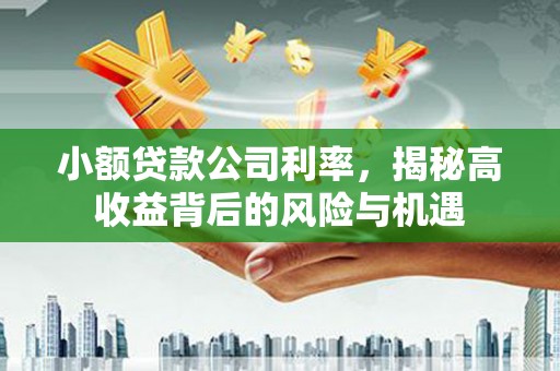 港闸小额贷款公司利率，揭秘高收益背后的风险与机遇