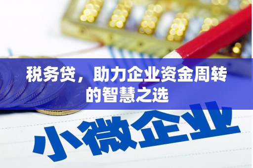 港闸税务贷，助力企业资金周转的智慧之选