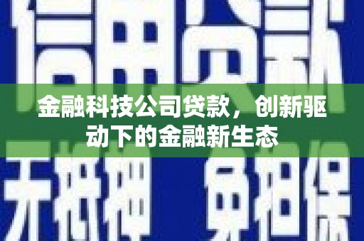 港闸金融科技公司贷款，创新驱动下的金融新生态