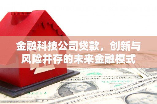 港闸金融科技公司贷款，创新与风险并存的未来金融模式