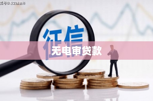 港闸无电审贷款