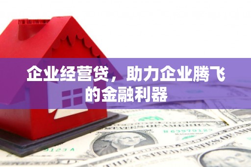 港闸企业经营贷，助力企业腾飞的金融利器