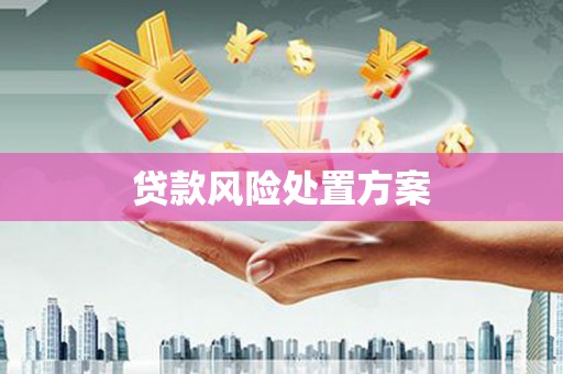 港闸贷款风险处置方案
