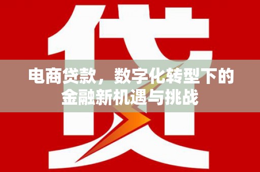 港闸电商贷款，数字化转型下的金融新机遇与挑战