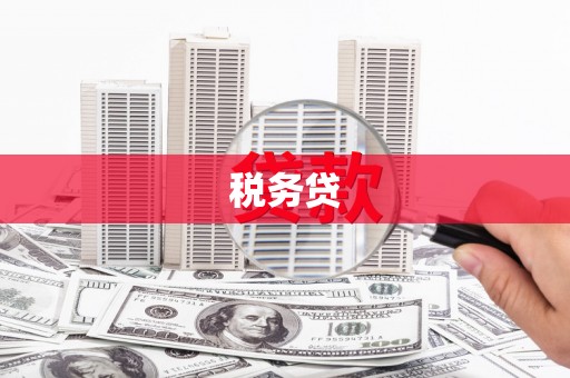 港闸税务贷