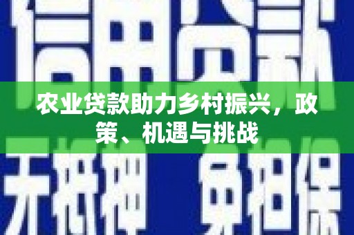 港闸农业贷款助力乡村振兴，政策、机遇与挑战