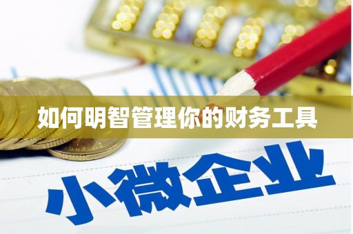 港闸如何明智管理你的财务工具