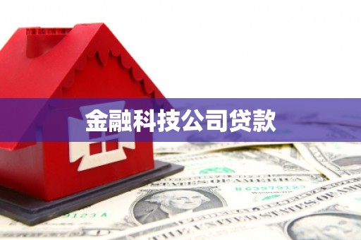 港闸金融科技公司贷款