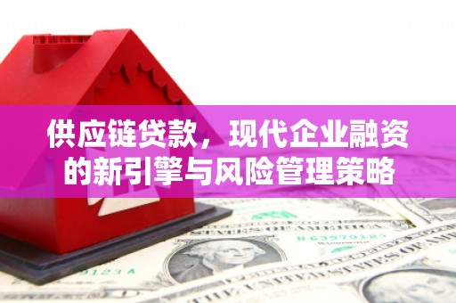 港闸供应链贷款，现代企业融资的新引擎与风险管理策略