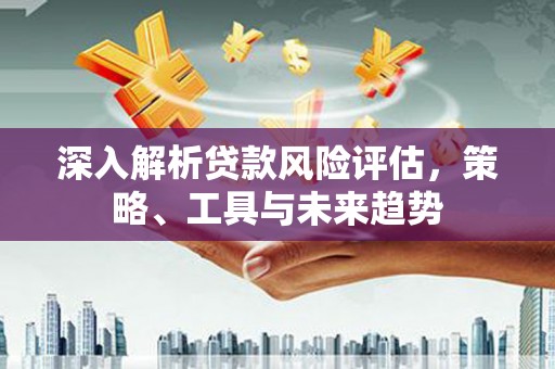 港闸深入解析贷款风险评估，策略、工具与未来趋势