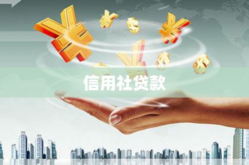 港闸信用社贷款