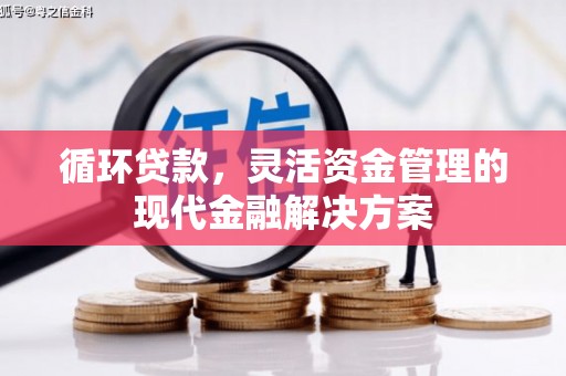 港闸循环贷款，灵活资金管理的现代金融解决方案