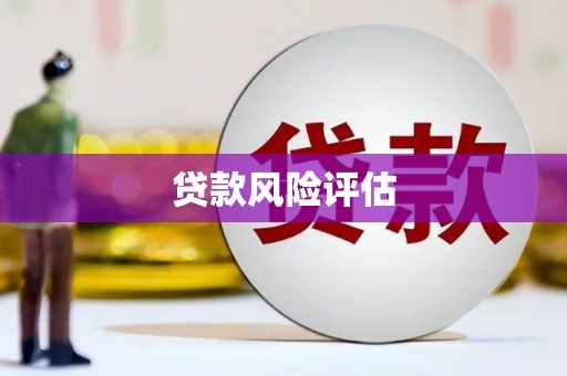 港闸贷款风险评估