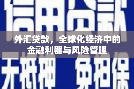 港闸外汇贷款，全球化经济中的金融利器与风险管理