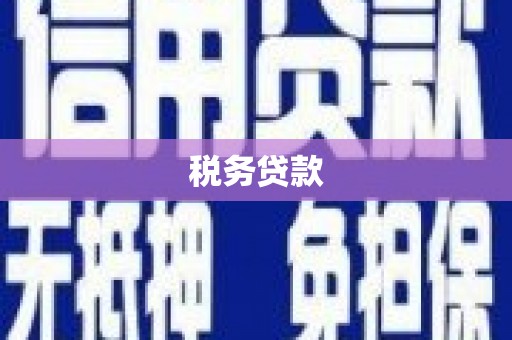 港闸税务贷款