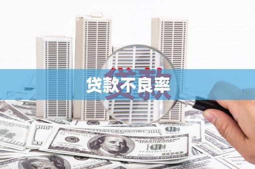 港闸贷款不良率