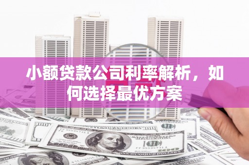 港闸小额贷款公司利率解析，如何选择最优方案