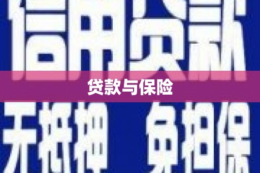 港闸贷款与保险
