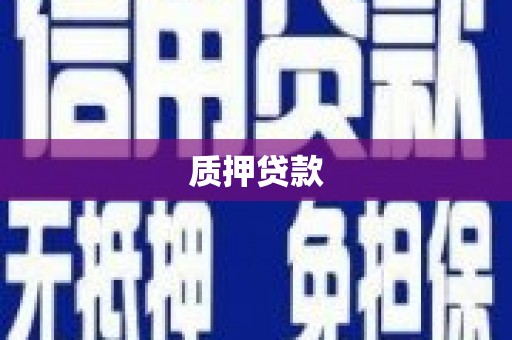 港闸质押贷款
