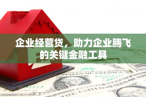 港闸企业经营贷，助力企业腾飞的关键金融工具