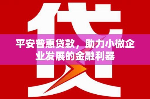 港闸平安普惠贷款，助力小微企业发展的金融利器