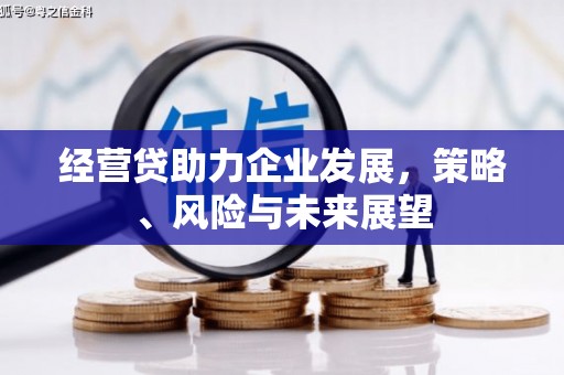 港闸经营贷助力企业发展，策略、风险与未来展望