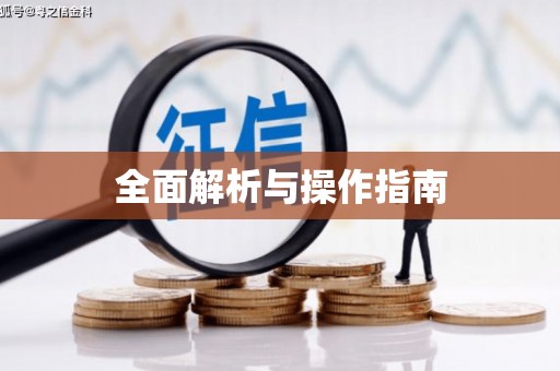 港闸全面解析与操作指南