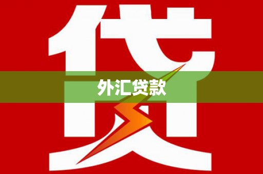 港闸外汇贷款