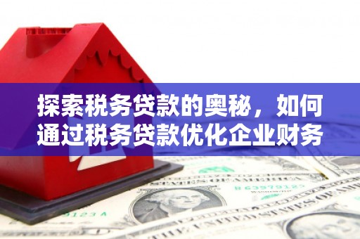 港闸探索税务贷款的奥秘，如何通过税务贷款优化企业财务