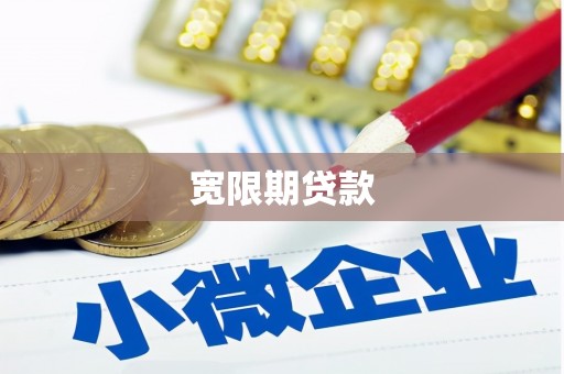 港闸宽限期贷款