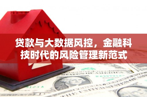 港闸贷款与大数据风控，金融科技时代的风险管理新范式