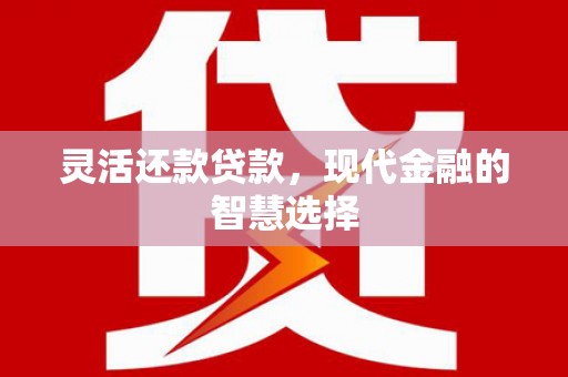 港闸灵活还款贷款，现代金融的智慧选择
