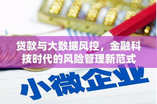 港闸贷款与大数据风控，金融科技时代的风险管理新范式