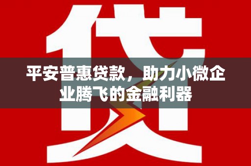 港闸平安普惠贷款，助力小微企业腾飞的金融利器
