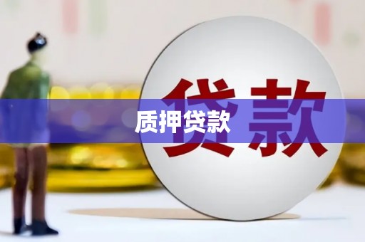 港闸质押贷款