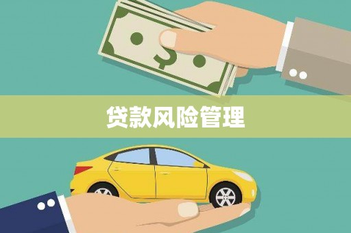 港闸贷款风险管理