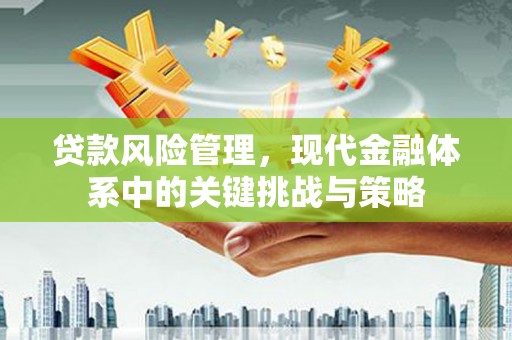 港闸贷款风险管理，现代金融体系中的关键挑战与策略