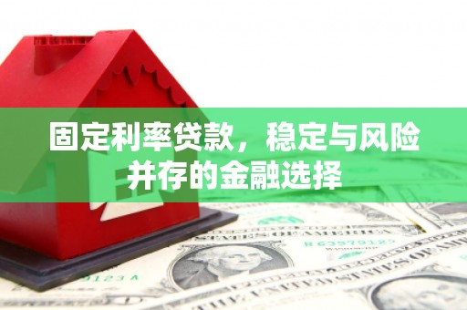 港闸固定利率贷款，稳定与风险并存的金融选择