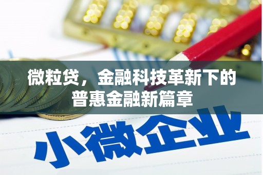 港闸微粒贷，金融科技革新下的普惠金融新篇章