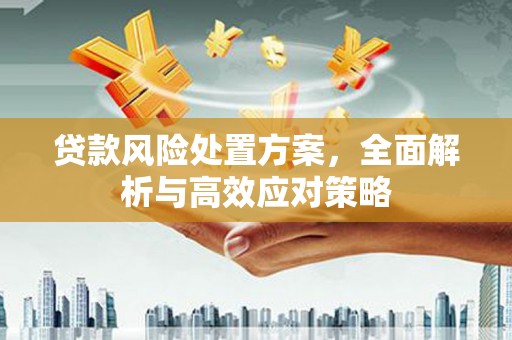 港闸贷款风险处置方案，全面解析与高效应对策略
