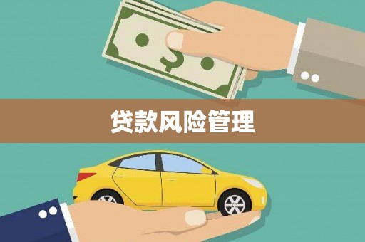 港闸贷款风险管理