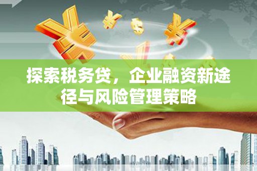 港闸探索税务贷，企业融资新途径与风险管理策略