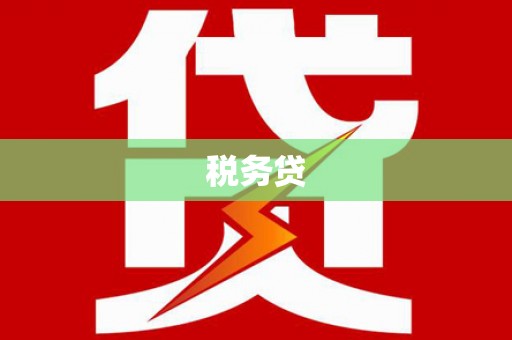 港闸税务贷