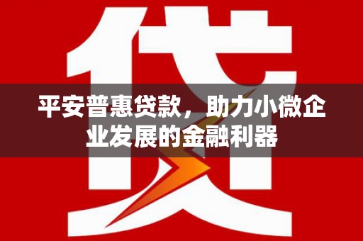 港闸平安普惠贷款，助力小微企业发展的金融利器