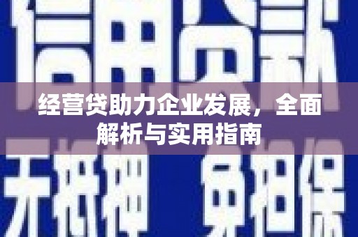 港闸经营贷助力企业发展，全面解析与实用指南